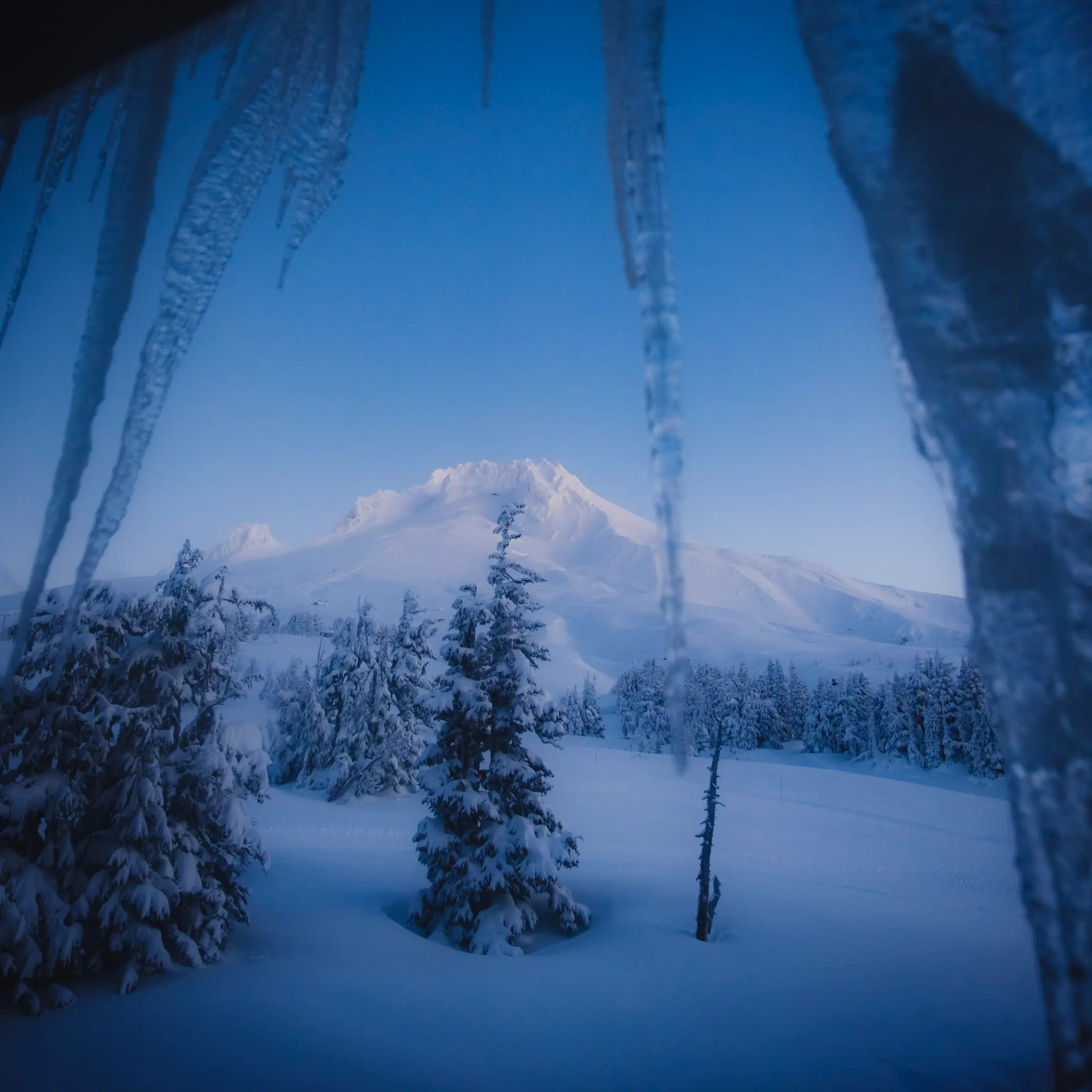 Mt. Hood from Timberline Lodge room window on a very snowy day